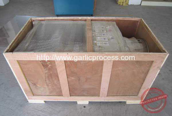 100kgh-Garlic-Peeling-Machine-Delivery-for-USA-Customer